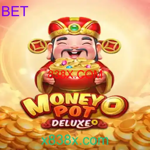 MoneyPotDELUXE